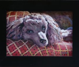 Poodle Dog portrait