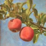 Caroline Johnson Artist En Plein Air Adelaide Hills Two Summer Apples on branch with leaves and blue sky 20 x 20