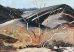 Caroline Johnson Artist view from Grindell's hut through skeleton of dead bush foreground oil on Arches A6 Postcard