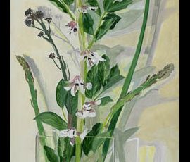 Caroline Johnson Artist Oil Painting, giant asparagus, broad bean plant, broad bean flowers, in vase, interesting shadows, warm and cool light.