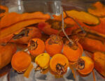 Oil painting of 7 ripe orange persimmons in the bottom of a silver bucket with reflections. Orange is dominant colour