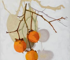 Oil painting of Orange persimmons against white wall with heart shaped shadow on white